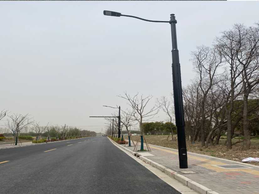 杜尔伯特蒙古族自治县上海综合杆 太阳能路灯工程